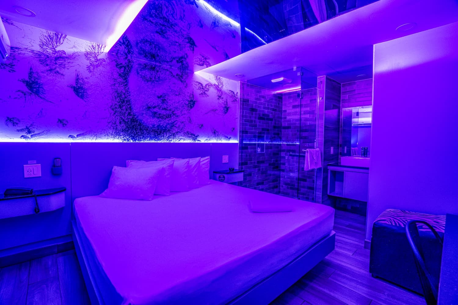 Suite Scape view 2